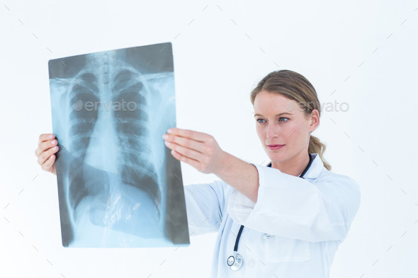 Focused doctor looking at xray on white background (Misc) Photo Download