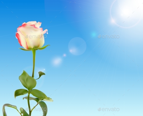 GraphicRiver Rose Against Shiny Sky 10853167 GraphicRiver Rose Against Shiny Sky 10853167