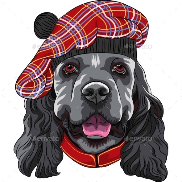 GraphicRiver American Cocker Spaniel in Scottish Tam 10853642 GraphicRiver American Cocker Spaniel in Scottish Tam 10853642