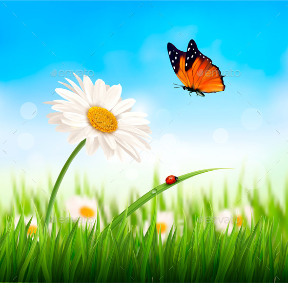 GraphicRiver Nature Spring Daisy Flower with Ladybug 10861222 GraphicRiver Nature Spring Daisy Flower with Ladybug 10861222