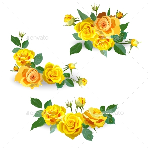 GraphicRiver Set of Yellow Roses 10865469 GraphicRiver Set of Yellow Roses 10865469