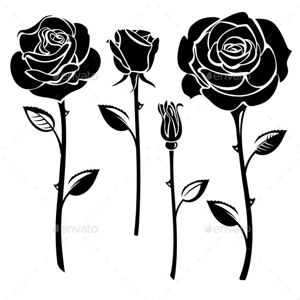 GraphicRiver Roses 10868209 GraphicRiver Roses 10868209
