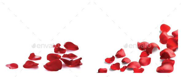 GraphicRiver Rose Petals 10874463 GraphicRiver Rose Petals 10874463