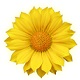 Flower_Tunes