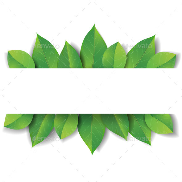 GraphicRiver Banner with Green Leaves 10892178 GraphicRiver Banner with Green Leaves 10892178