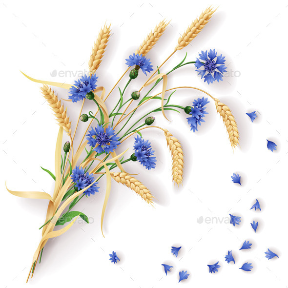 GraphicRiver Cornflowers and Wheat Ears Bunch 10892207 GraphicRiver Cornflowers and Wheat Ears Bunch 10892207