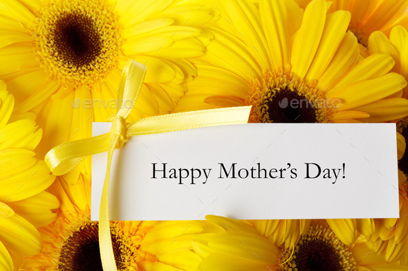 Mothers day card with yellow gerberas