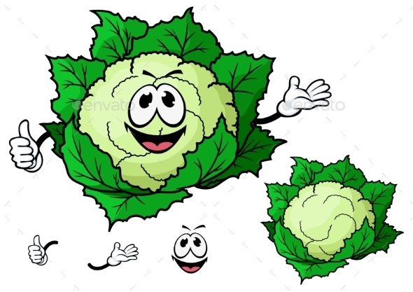 GraphicRiver Cauliflower Cartoon 10898051 GraphicRiver Cauliflower Cartoon 10898051
