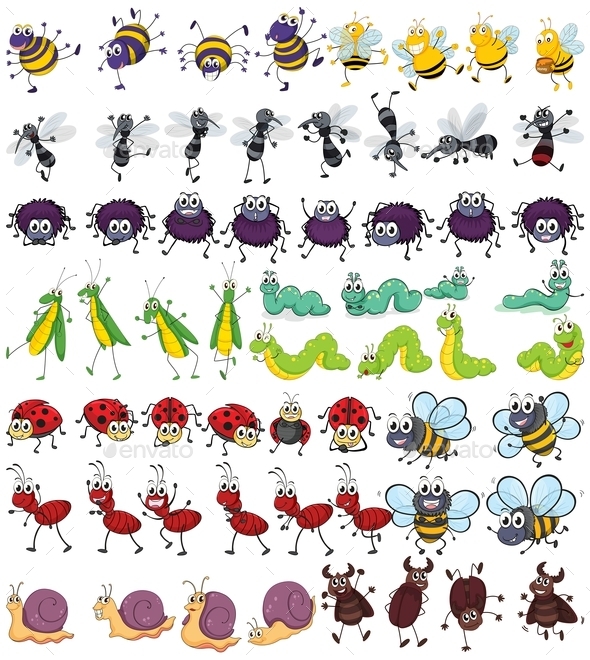 GraphicRiver Insects 10899008 GraphicRiver Insects 10899008