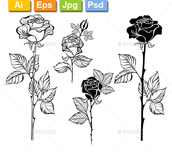 GraphicRiver Set of Contour Roses 10899035 GraphicRiver Set of Contour Roses 10899035