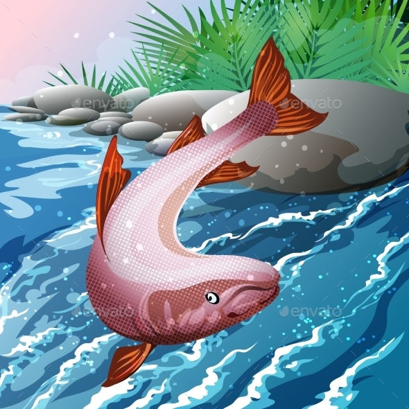  Animasi  Gambar  Ikan  Salmon  Tinkytyler org Stock Photos 