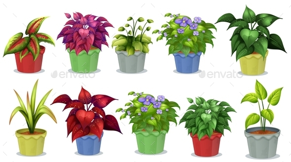 GraphicRiver Potted Plants 10914634 GraphicRiver Potted Plants 10914634