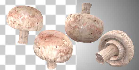 Mushroom Mushroom