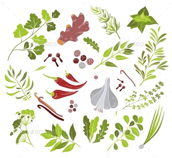 GraphicRiver Different Herbs and Spices 10919795 GraphicRiver Different Herbs and Spices 10919795