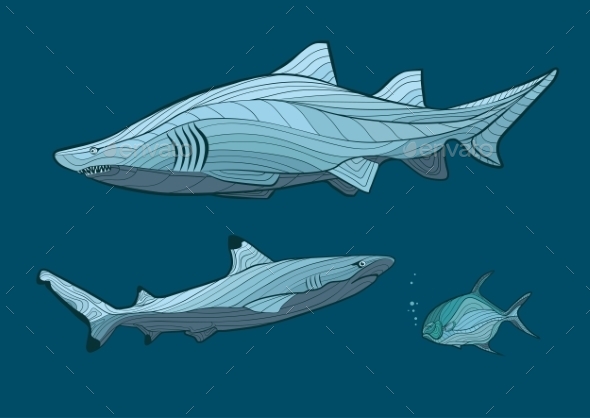 GraphicRiver Decorative Sharks 10921049 GraphicRiver Decorative Sharks 10921049
