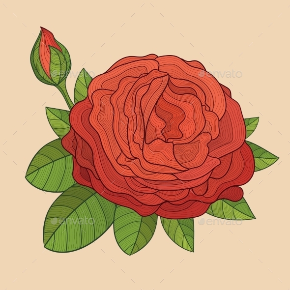 GraphicRiver Decorative Rose with Bud 10921197 GraphicRiver Decorative Rose with Bud 10921197