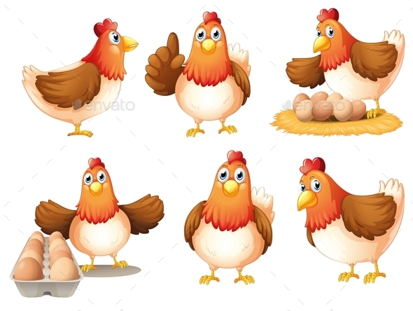 GraphicRiver Chickens with Eggs 10923953 GraphicRiver Chickens with Eggs 10923953