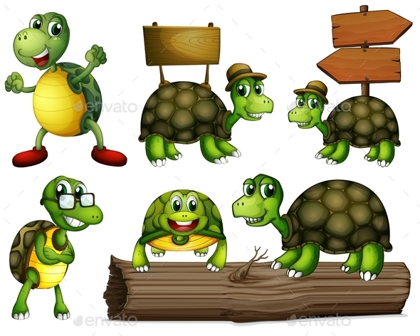 GraphicRiver Turtles 10925600 GraphicRiver Turtles 10925600