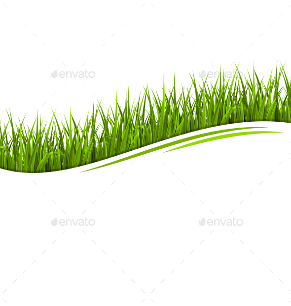 GraphicRiver Green Grass Lawn Wave Isolated on White Background 10928237 GraphicRiver Green Grass Lawn Wave Isolated on White Background 10928237