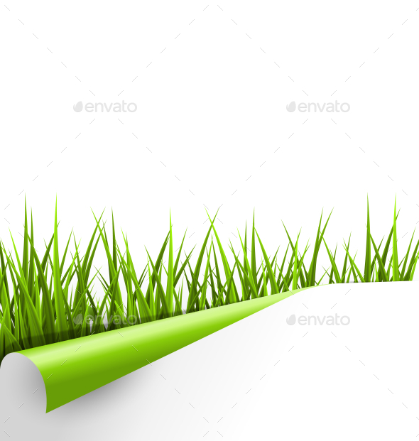 GraphicRiver Green Grass with Wrapped Paper Sheet Isolated 10928366 GraphicRiver Green Grass with Wrapped Paper Sheet Isolated 10928366