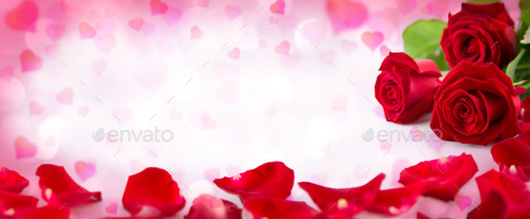 Valentine invitation with hearts with petals and bloom of red roses (Misc) Photo Download