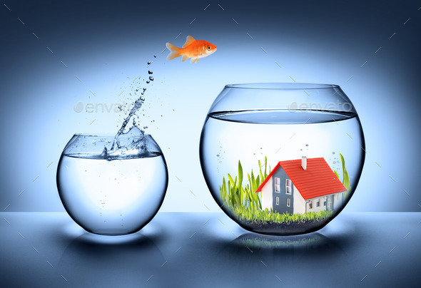 fish find house - real estate concept
