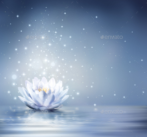 waterlily light blue on water - fairytale background