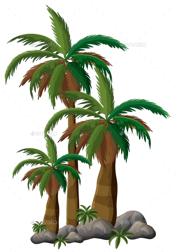 GraphicRiver Palm Trees 10936381 GraphicRiver Palm Trees 10936381