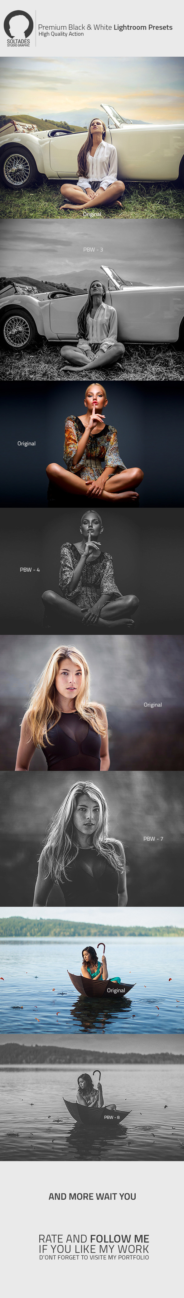 GraphicRiver Premium Black & White Lightroom Preset 10941688 GraphicRiver Premium Black & White Lightroom Preset 10941688