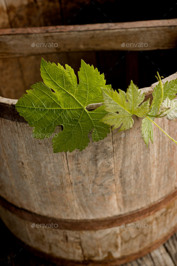 Wine leaves on wine bucket (Misc) Photo Download