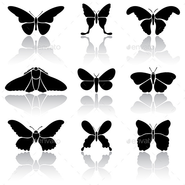 GraphicRiver Butterflies 10943508 GraphicRiver Butterflies 10943508