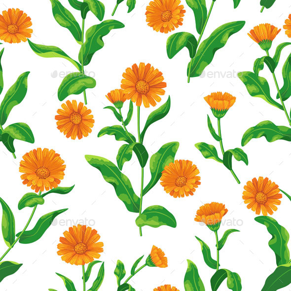 GraphicRiver Calendula Bunches Pattern 10945145 GraphicRiver Calendula Bunches Pattern 10945145