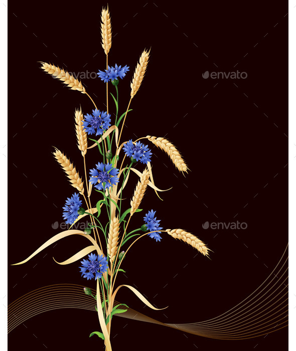 GraphicRiver Cornflowers and Wheat Ears Bunch on Black 10945294 GraphicRiver Cornflowers and Wheat Ears Bunch on Black 10945294
