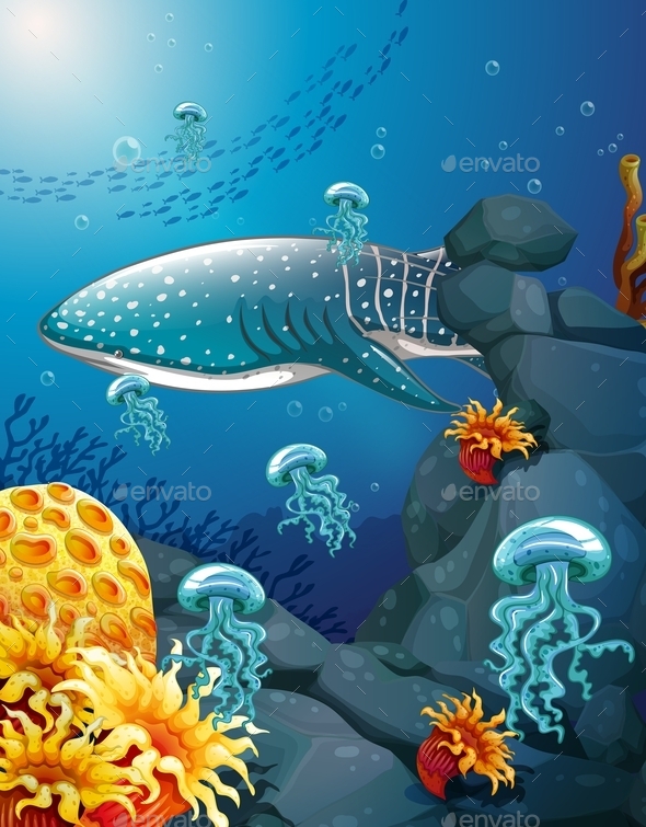 GraphicRiver Shark 10950107 GraphicRiver Shark 10950107