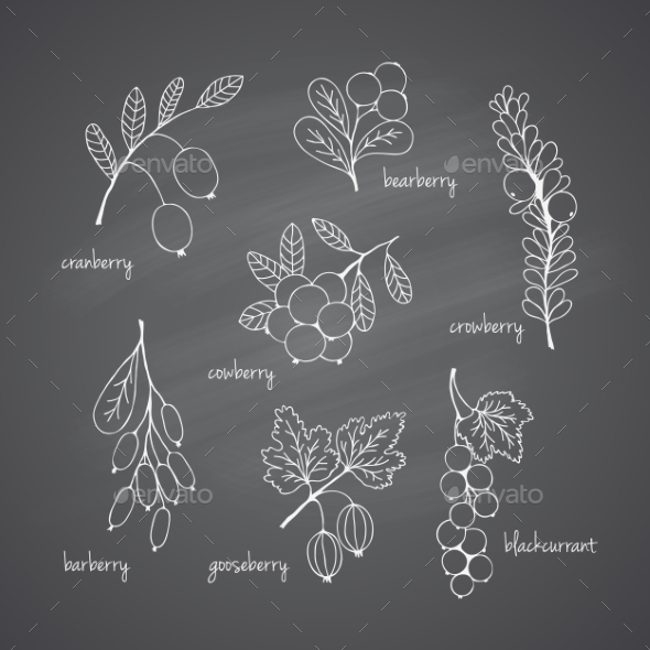 GraphicRiver Set of Garden Berries 10960976 GraphicRiver Set of Garden Berries 10960976