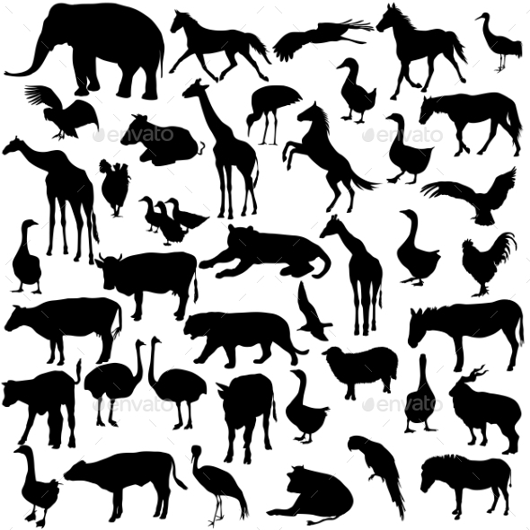 GraphicRiver Animal Silhouettes 10961841 GraphicRiver Animal Silhouettes 10961841