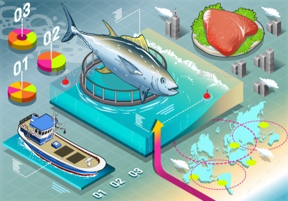 GraphicRiver Isometric Infographic of Tuna Breeding 10962827 GraphicRiver Isometric Infographic of Tuna Breeding 10962827