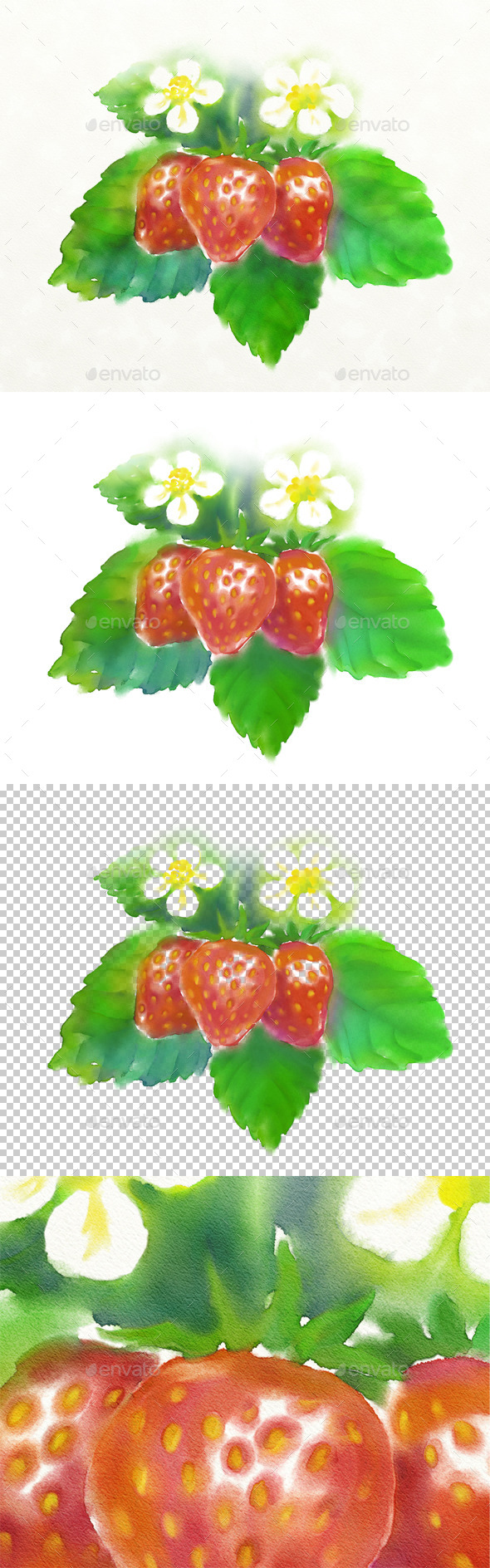 GraphicRiver Watercolor of Strawberry 10969549 GraphicRiver Watercolor of Strawberry 10969549