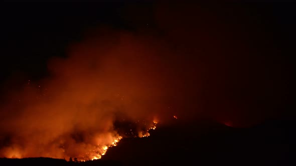 Time Lapse Of Large Forest Fire At Night 4k 7