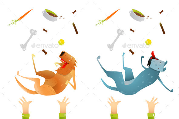 GraphicRiver Looking After Dog Healthy Diet 10984484 GraphicRiver Looking After Dog Healthy Diet 10984484