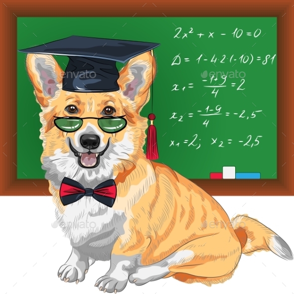 GraphicRiver Graduated Dog Pembroke Welsh Corgi 10995035 GraphicRiver Graduated Dog Pembroke Welsh Corgi 10995035