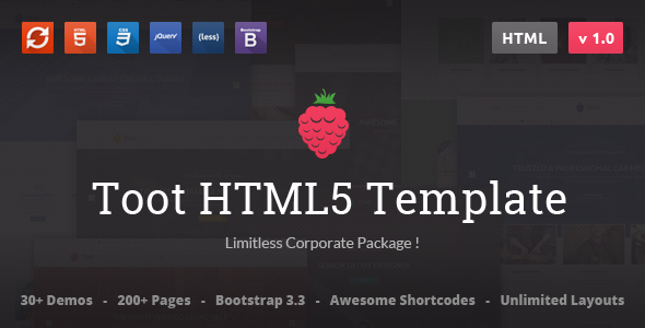 ThemeForest Toot Multi-purpose Business HTML Template 10995455 ThemeForest Toot Multi-purpose Business HTML Template 10995455