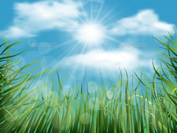 GraphicRiver Background with Grass and Sky 10997519 GraphicRiver Background with Grass and Sky 10997519