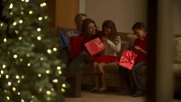 Family Celebrating Christmas Viewed From Outside