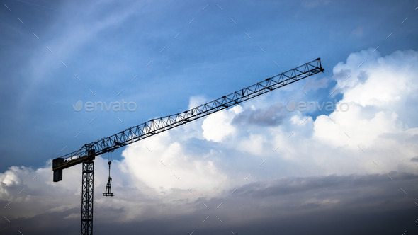 Blue crane (Misc) Photo Download