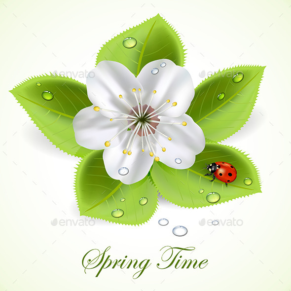 GraphicRiver Flower with Ladybug 11005818 GraphicRiver Flower with Ladybug 11005818