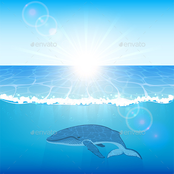 GraphicRiver Whale in Ocean 11006459 GraphicRiver Whale in Ocean 11006459