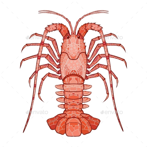 Decorative Crayfish (Animals)