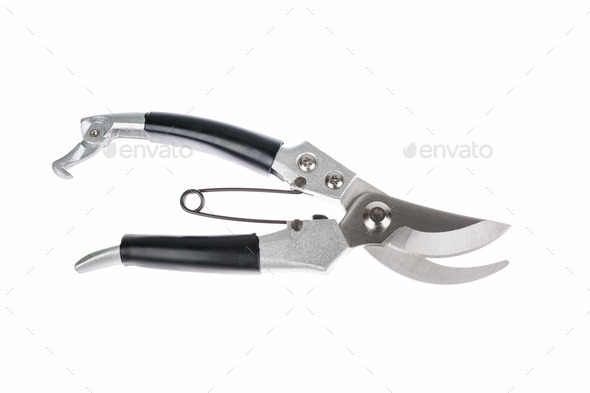 garden pruner isolated (Misc) Photo Download