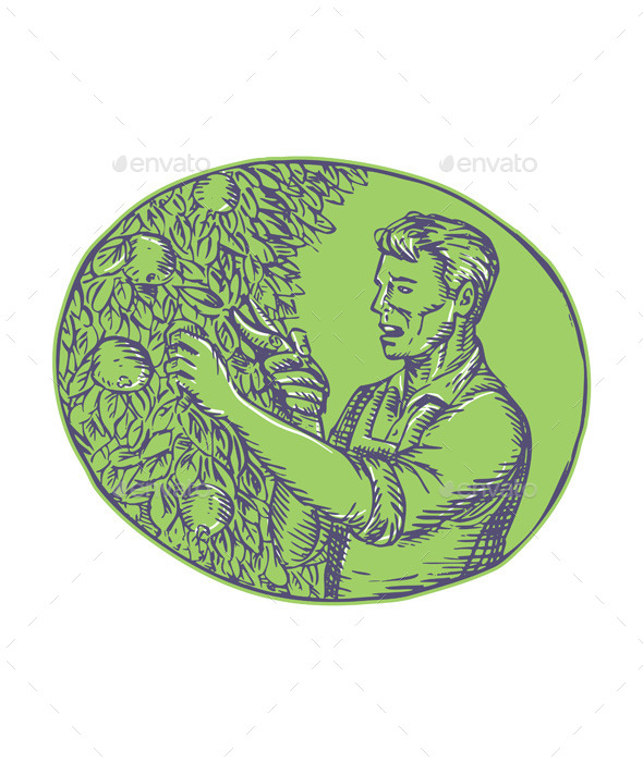 GraphicRiver Orchardist Trimming Plum Tree Oval Etching 11018836 GraphicRiver Orchardist Trimming Plum Tree Oval Etching 11018836